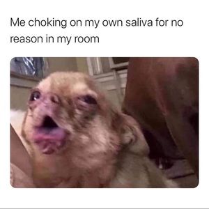 Meet your Posher, Natalia